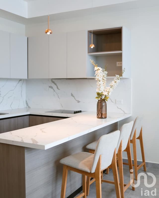 Departamentos en Venta. Invierte en la Renovación del Centro (Alameda-Purisima)