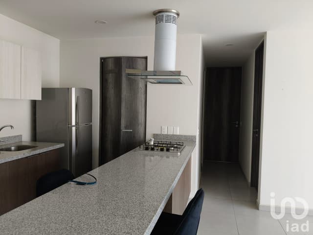 DEPARTAMENTO NUEVA GALICIA