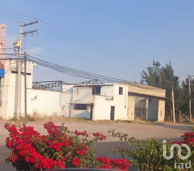 TERRENO EN RENTA SAN MARTIN TEXMELUCAN PUEBLA