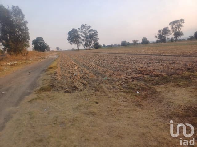 Terreno en renta Carretera Federal A Huejotzingo Puebla