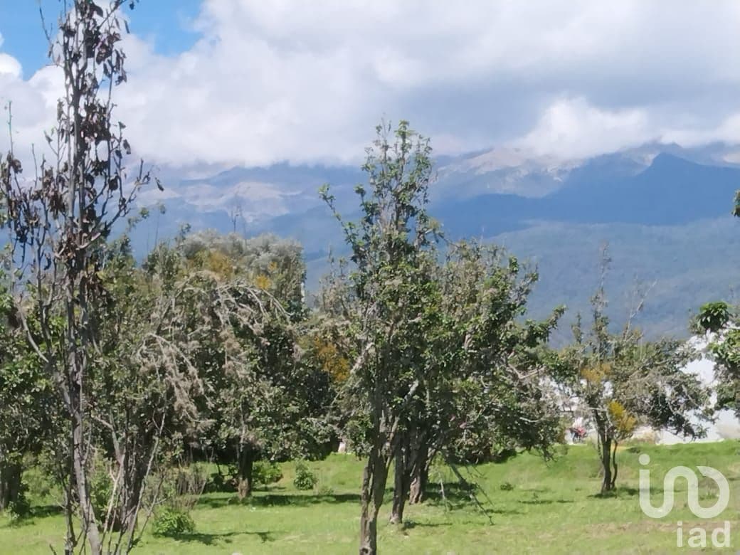 Fotos adicionales