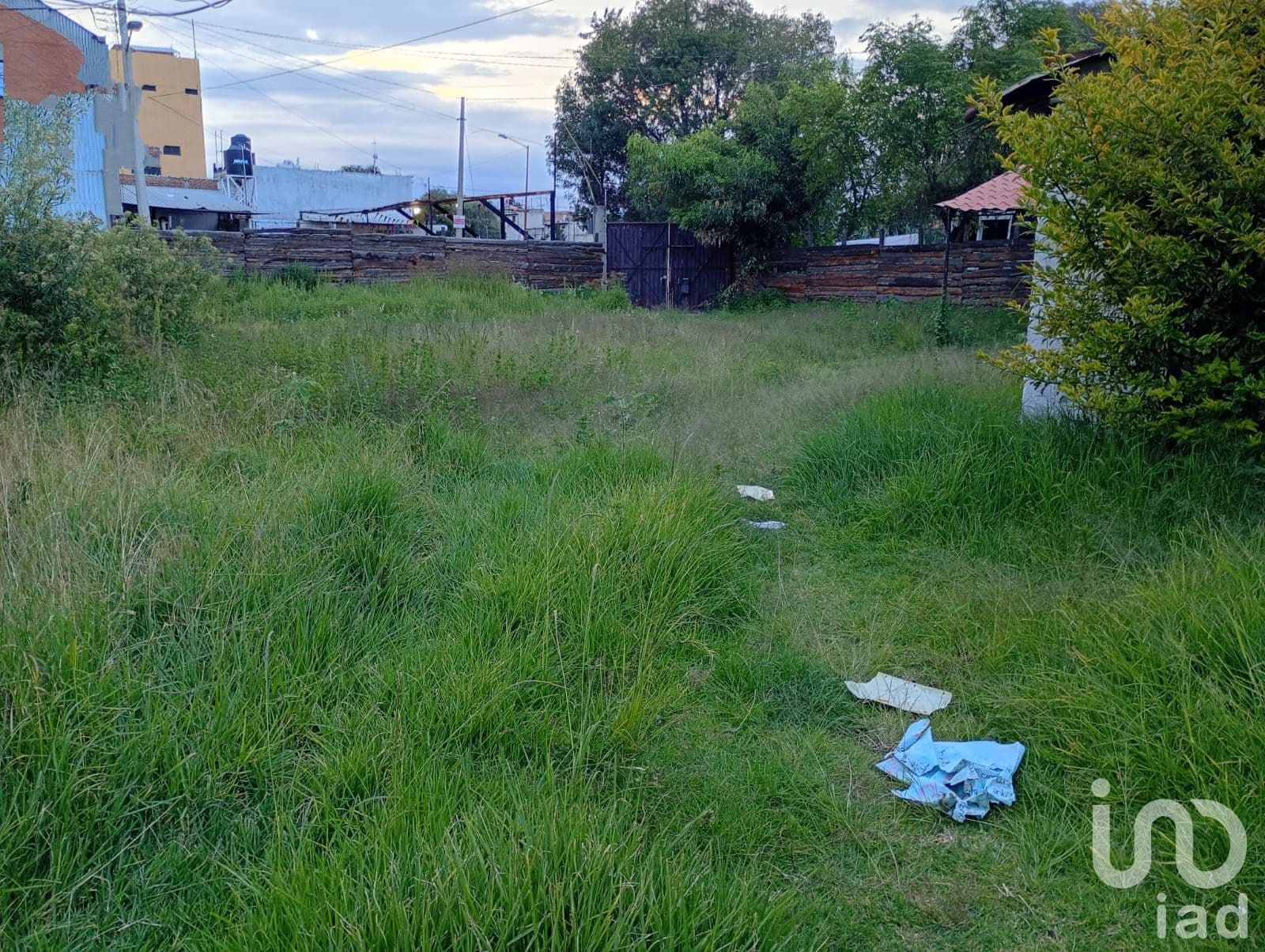 Fotos adicionales