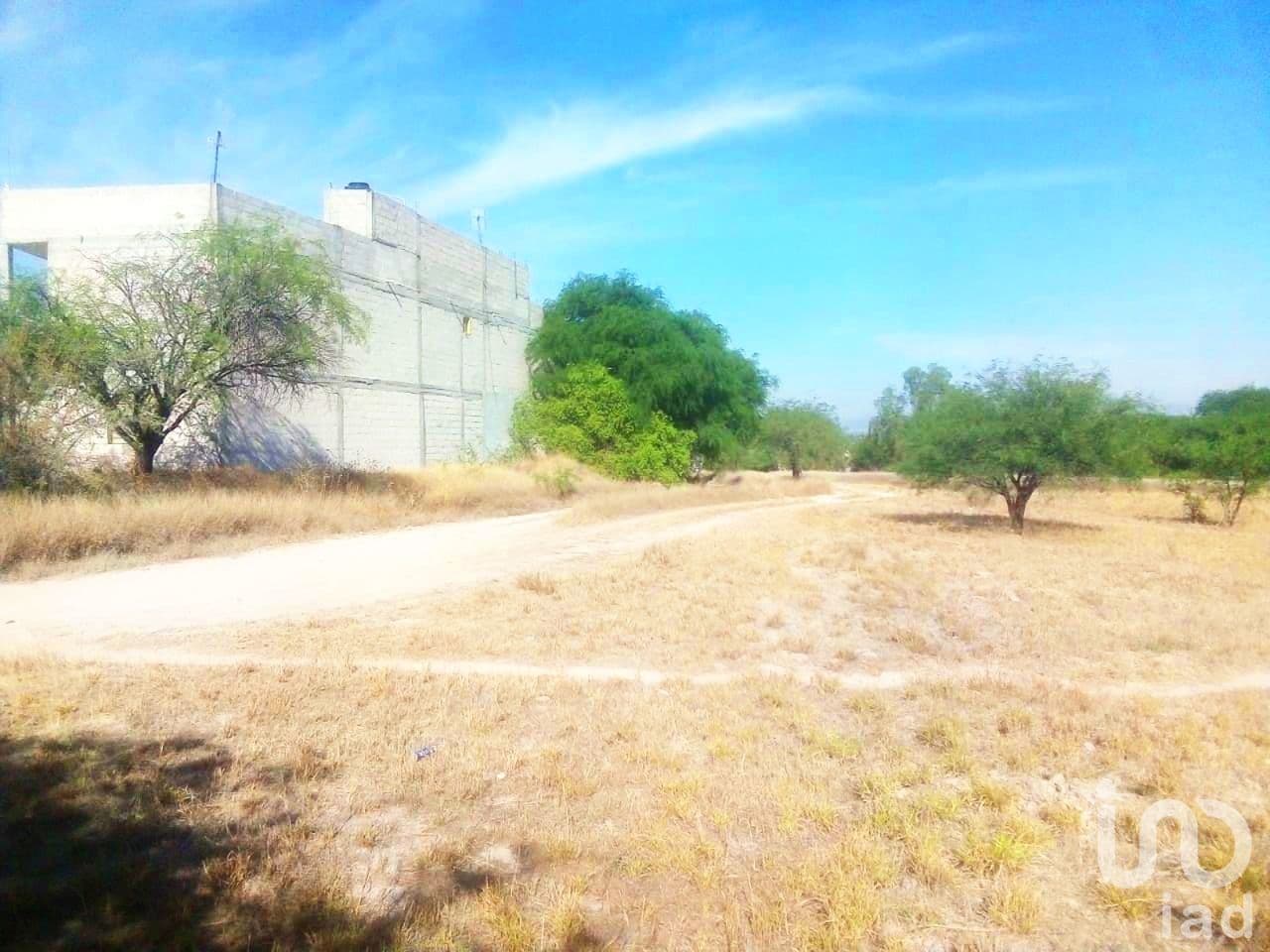Fotos adicionales