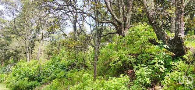 Terreno en Fraccionamiento a 5 minutos de Universidad de Querétaro y centro de Amealco