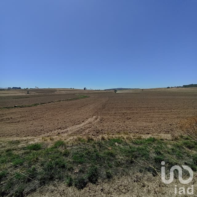 Terreno por Hectárea venta de 1 Has en Super Precio en La Piedad Amealco