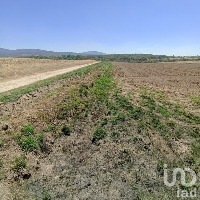 Terreno por Hectárea venta de 1 Has en Super Precio en La Piedad Amealco