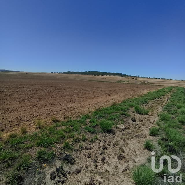 Terreno por Hectárea venta de 1 Has en Super Precio en La Piedad Amealco