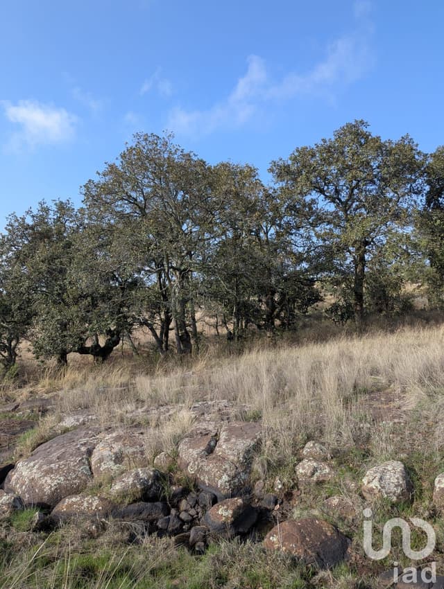 1000m² para Eco villa. Escritura , agua y luz Amealco de Bonfil, Queretaro