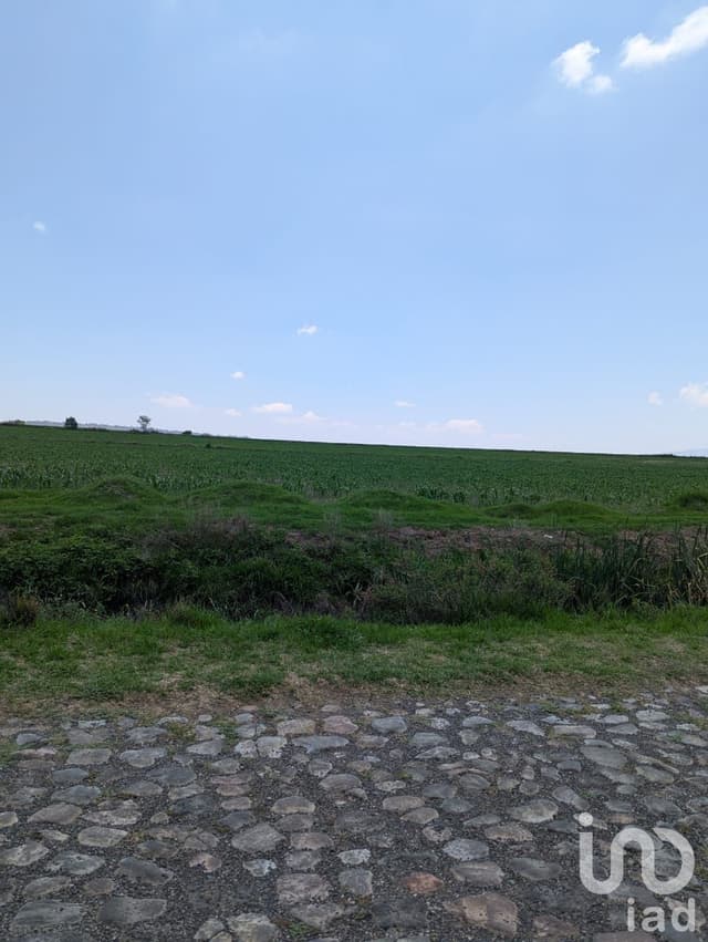 Terreno de 4 Hectarias en Los Arboles Queretaro