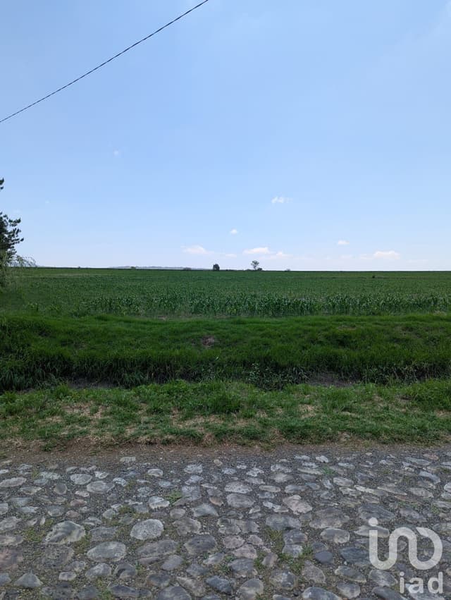 Terreno de 4 Hectarias en Los Arboles Queretaro