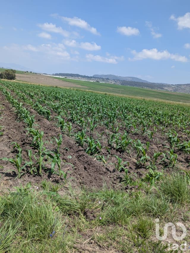 Variedad de terrenos Agrícola en Amealco de Bonfil, Pueblo Mágico