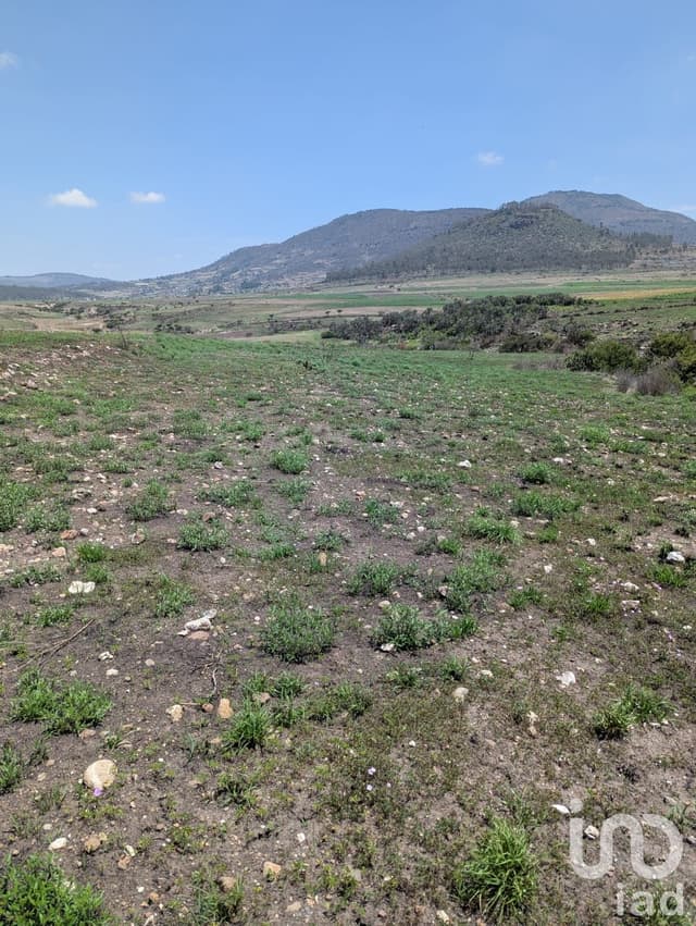 Variedad de terrenos Agrícola en Amealco de Bonfil, Pueblo Mágico