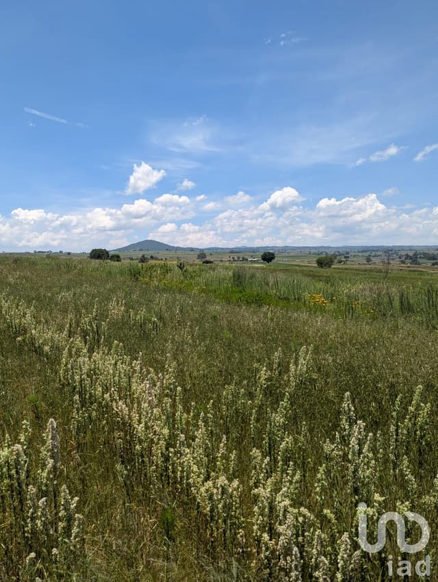 Terreno en venta, Amealco de Bonfil
