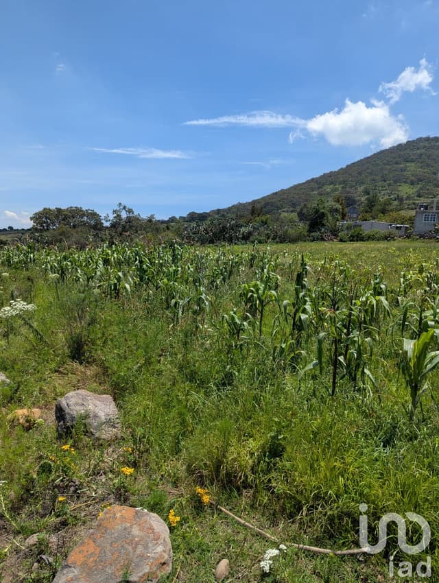 Terreno en venta, Amealco de Bonfil