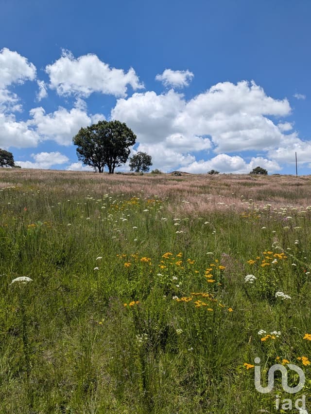 En Venta Terreno en El Bothé, Querétaro.