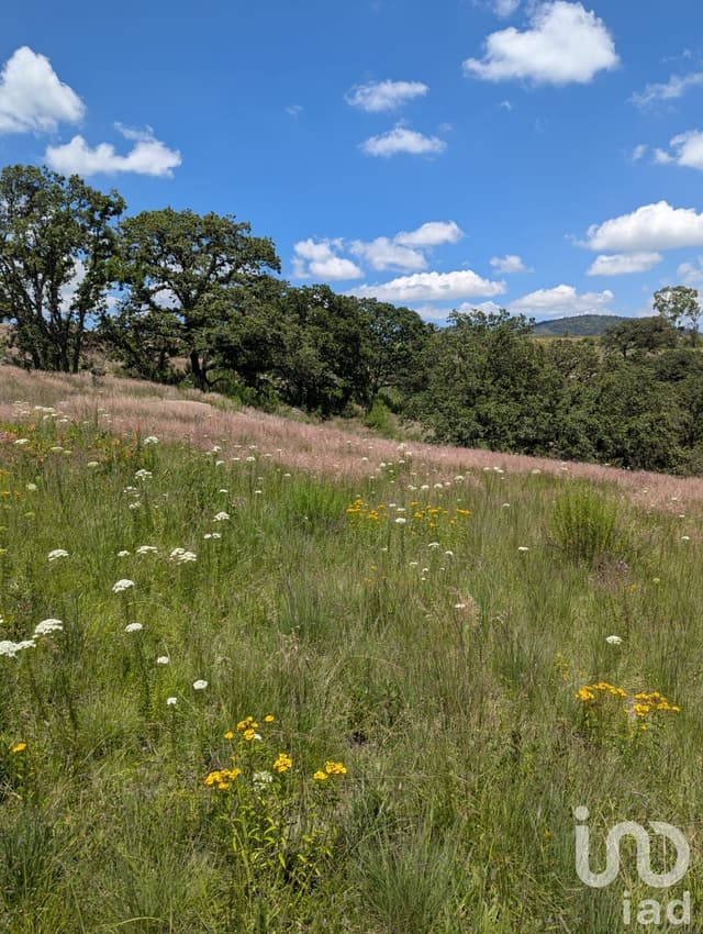 En Venta Terreno en El Bothé, Querétaro.