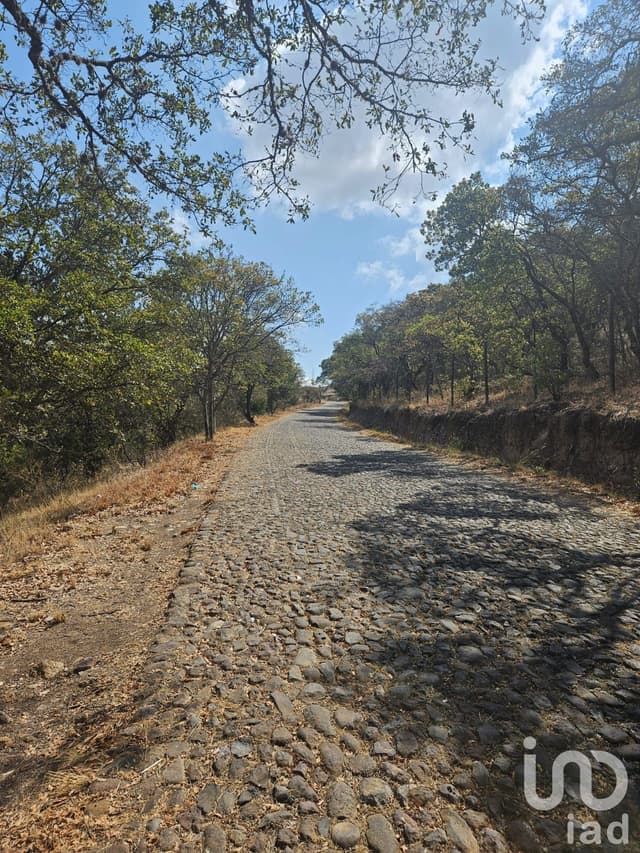 Bonito Bosque de Amealco