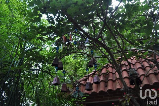 Rancho en San Ignacio Tecip, Mérida Yucatán,