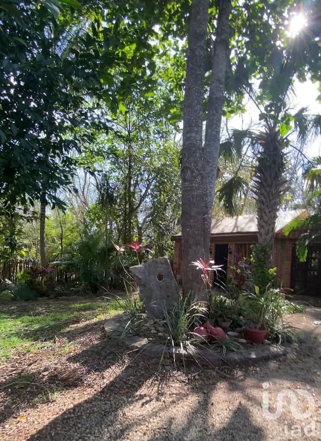 Rancho en San Ignacio Tecip, Mérida Yucatán,