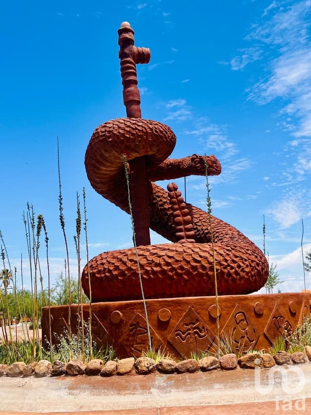 TERRENOS CAMPESTRES ESCRITURABLES EN SAMALAYUCA