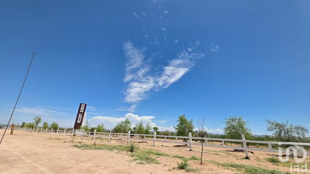 TERRENOS CAMPESTRES ESCRITURABLES EN SAMALAYUCA