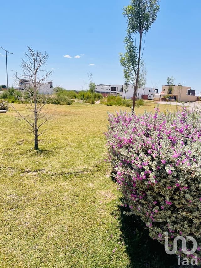 TERRENO EN VENTA CON LAGO PRIVADO EN ALTOZANO EL NUEVO JUAREZ