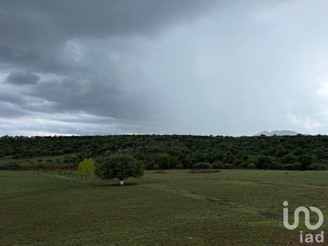SE VENDE TERRENO PARA USO COMERCIAL A PIE DE CARRETERA 1KM DE LA JUNTA CHIHUAHUA, CHIHUAHUA