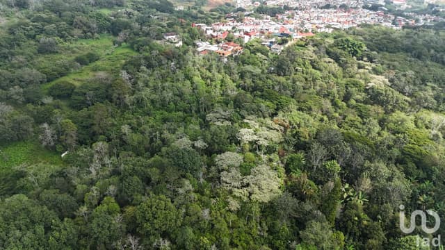 Terreno en venta en Hacienda Pacho Nuevo municipio E. Zapata junto al fracc. Las Fuentes (Xalapa).