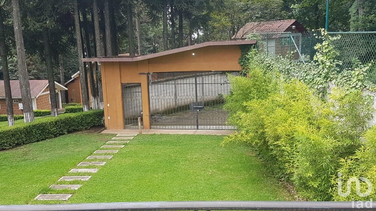 Fotos adicionales
