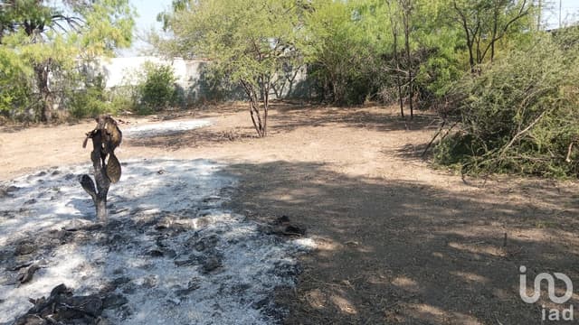 Terreno en Venta en Viilas Campestres en Ciénega de Flores, Construye la Quinta de tus Sueños