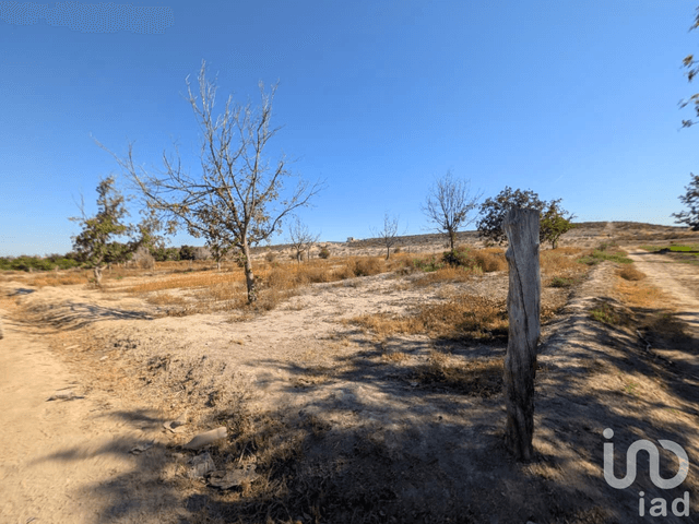 Terreno rustico en venta Parras Coahuila
