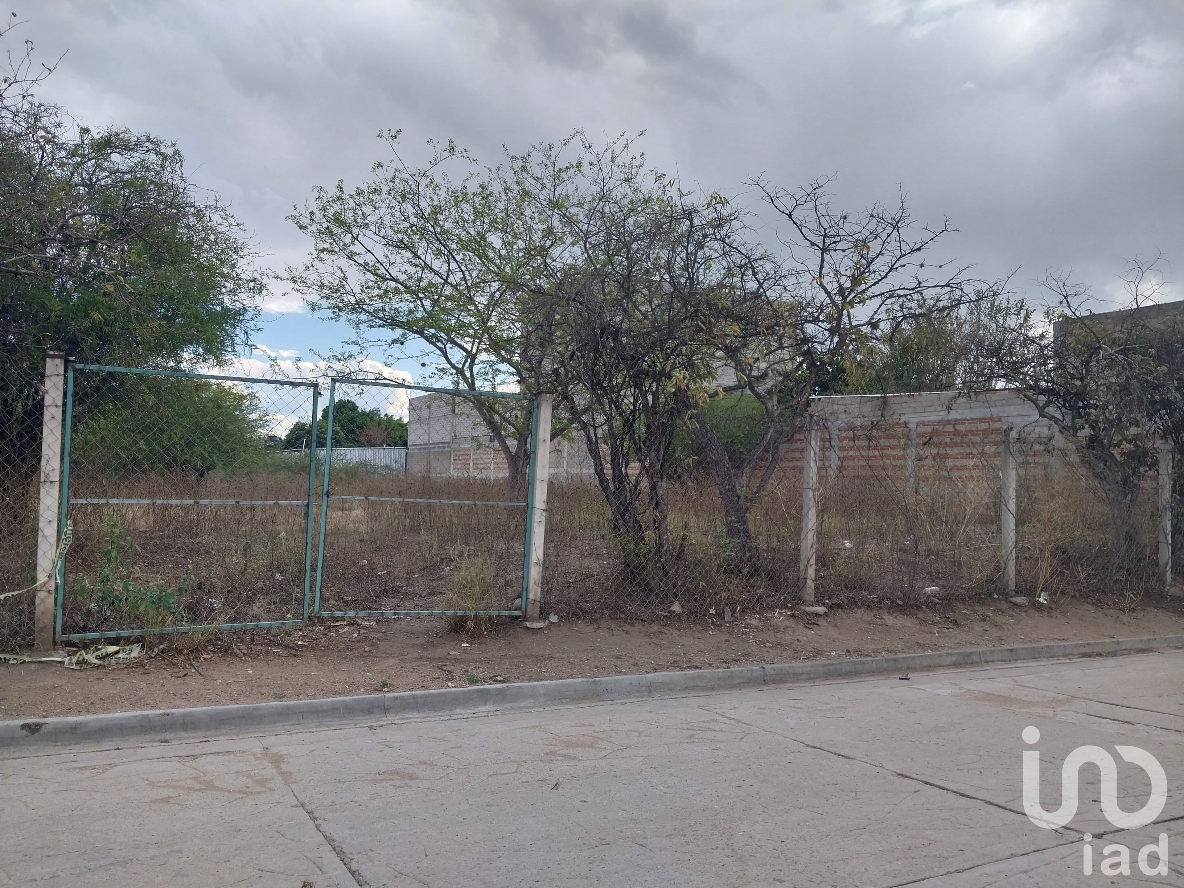 Fotos adicionales