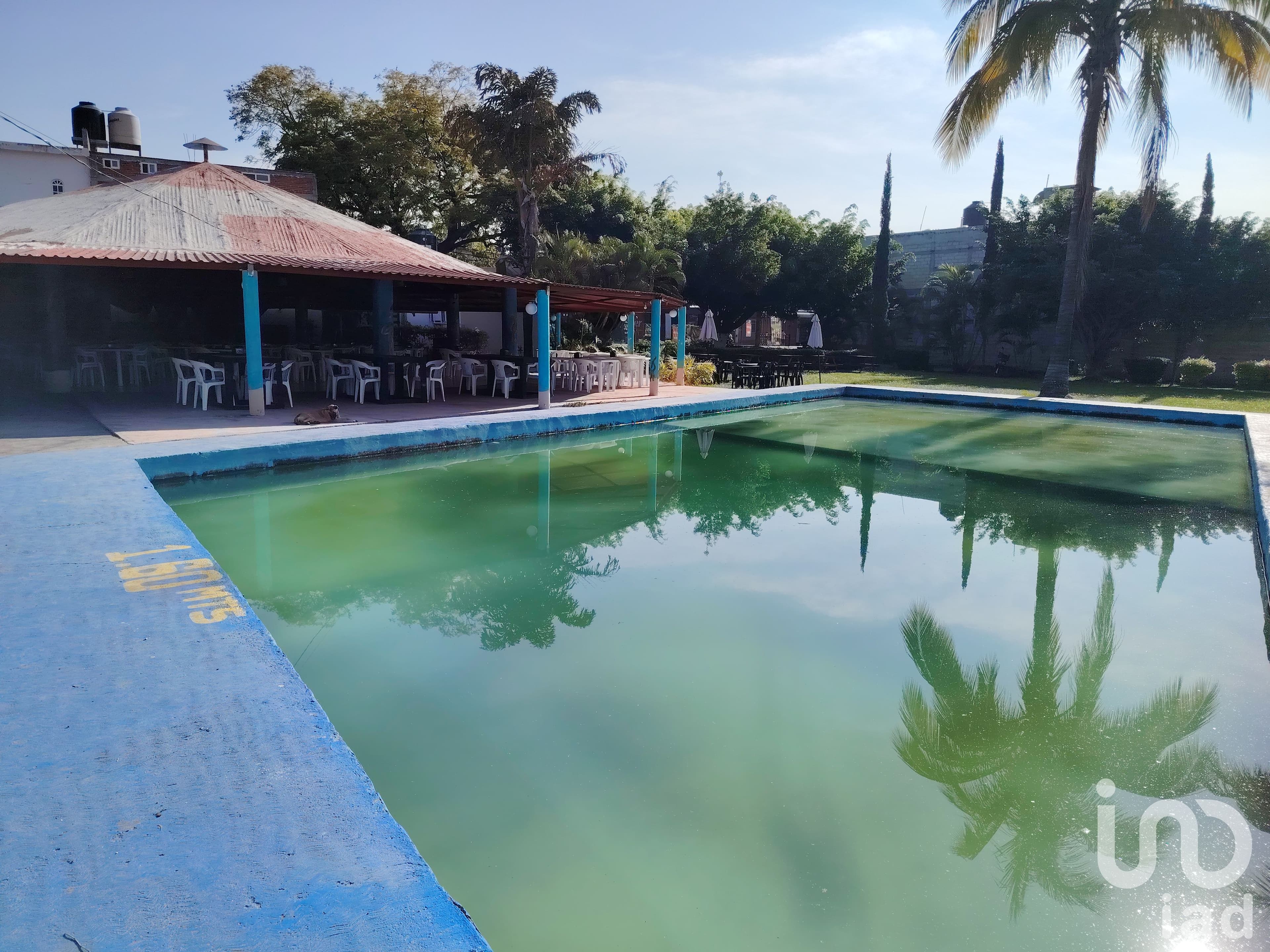 Fotos adicionales