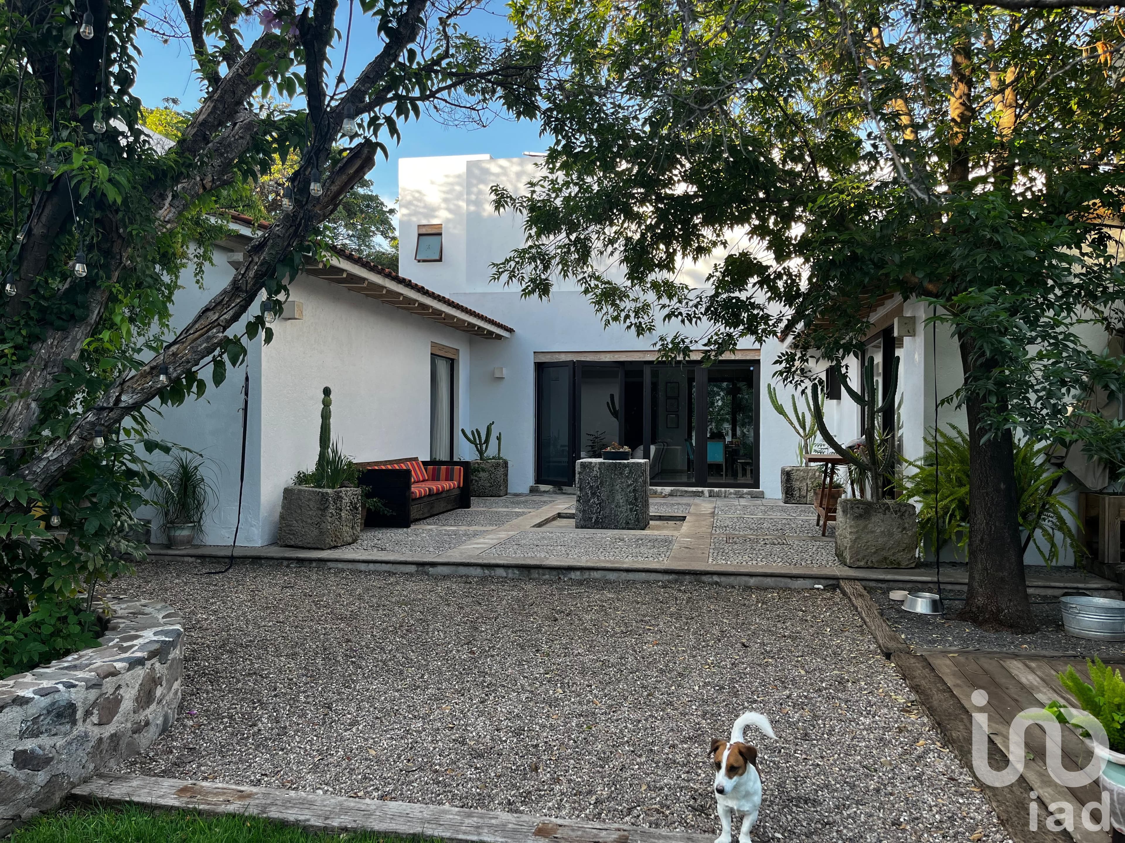 Fotos adicionales