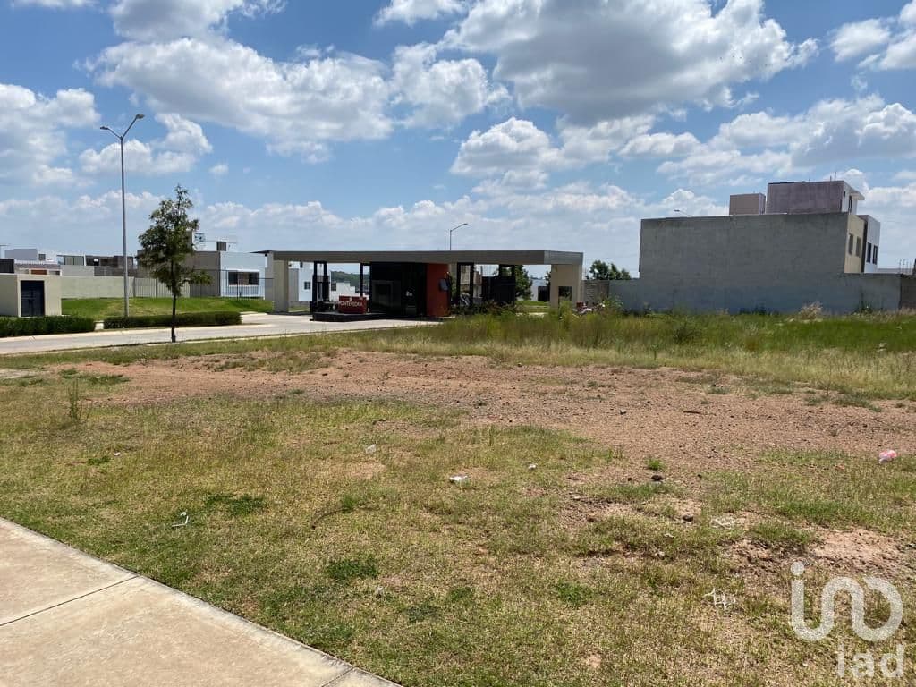 Fotos adicionales
