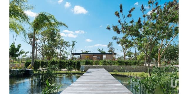 GRAN OPORTUNIDAD TERRENO EN PRIVADA ARBOREA RESIDENCIAL, YUCATAN