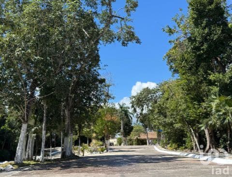 GRAN OPORTUNIDAD VENTA DE TERRENO ALDEA-HA, PUERTO MORELOS