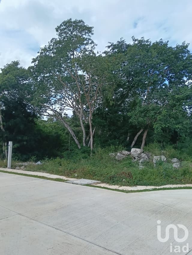 TERRENO EN PRIVADA AL NORTE DE MERIDA, SALAMA DE CABO NORTE, YUCATAN