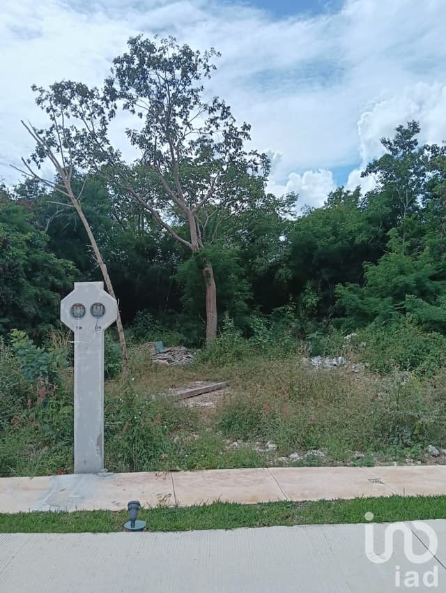 TERRENO EN PRIVADA AL NORTE DE MERIDA, SALAMA DE CABO NORTE, YUCATAN