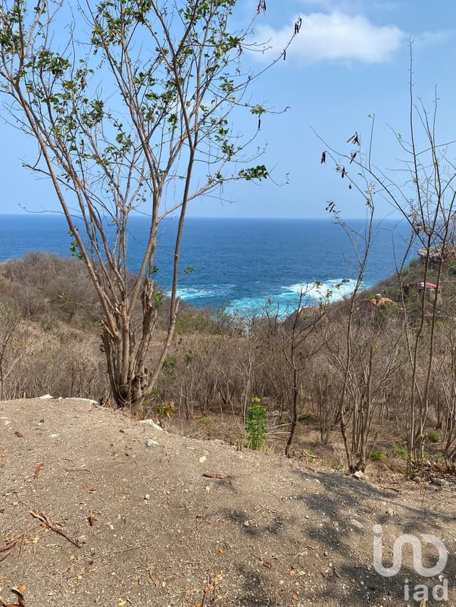 TERRENO EN VENTA, EN LA COL EL FARO PTO ANGEL SAN PEDRO POCHUTLA A 15 MIN DE ZIPOLITE.