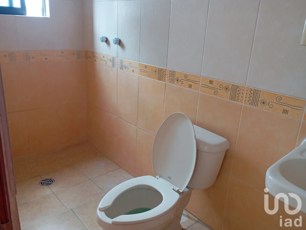 Fotos adicionales