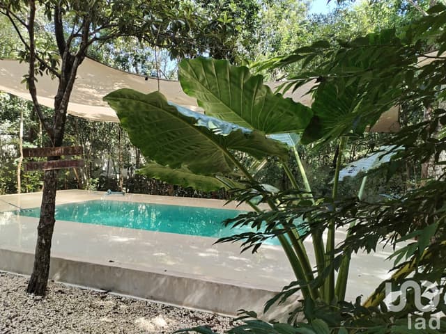 Vendo casa en Aldea Coral, Sáasil K´aáx, Tulum, Hermosa casa Ecológica con piscina