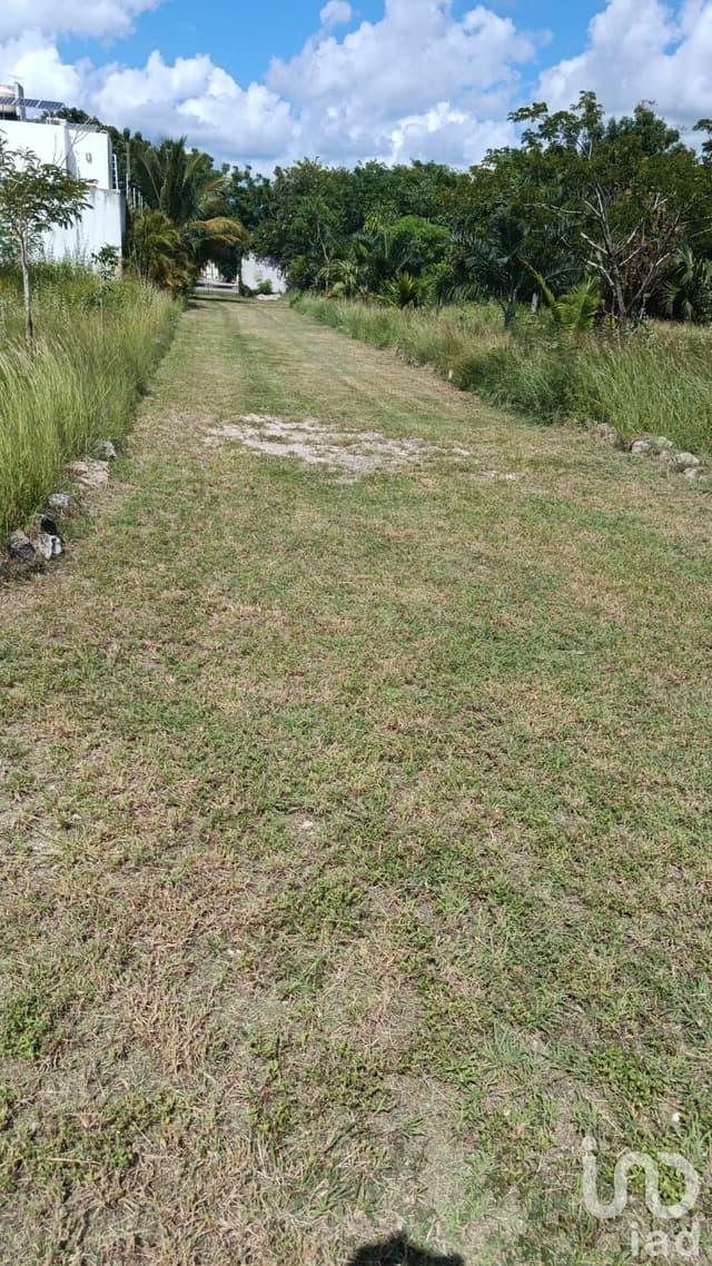 VTA - TERRENO - IDEAL DEPARTAMENTOS - TEMOZoN, MERIDA,YUC