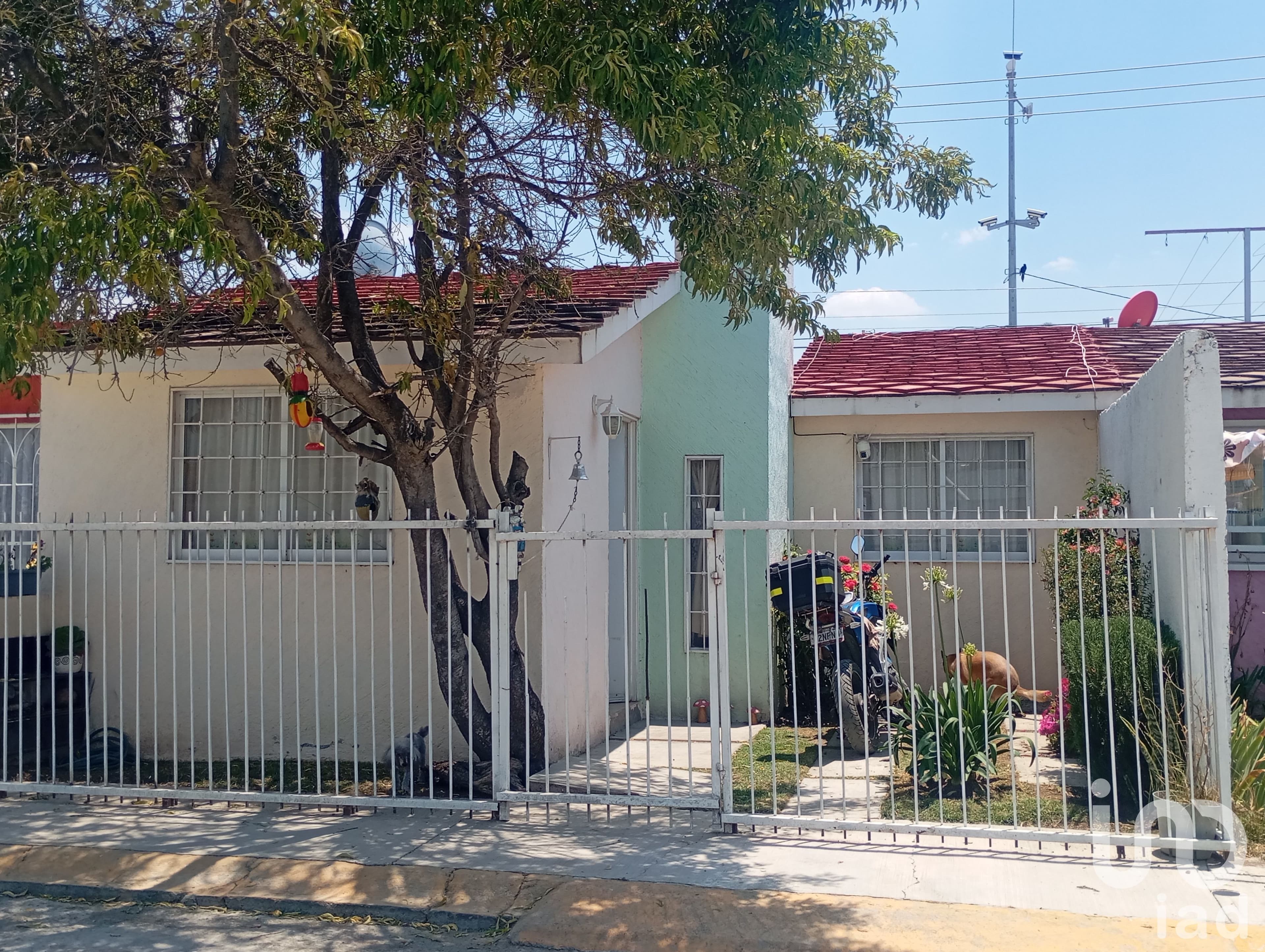 Fotos adicionales
