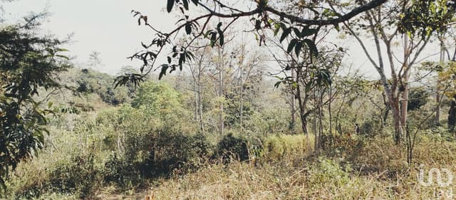 Terreno PACHO NUEVO