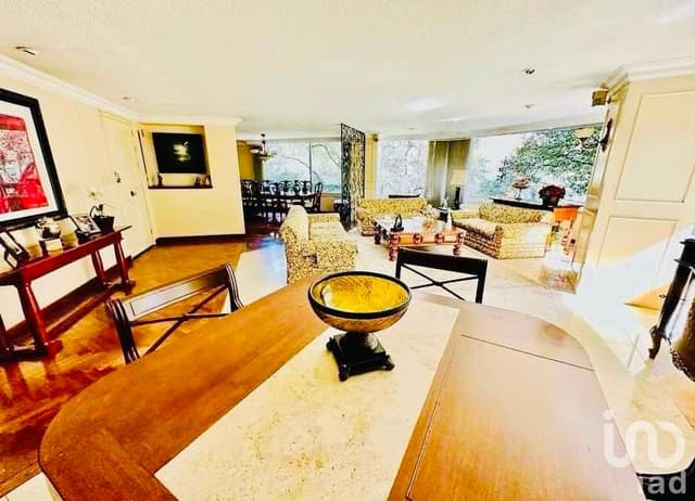 Vive San José Insurgentes link