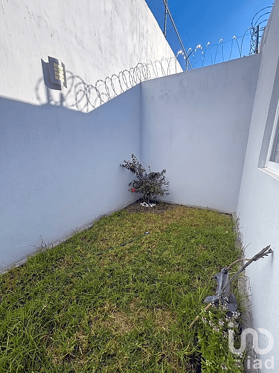 Fotos adicionales