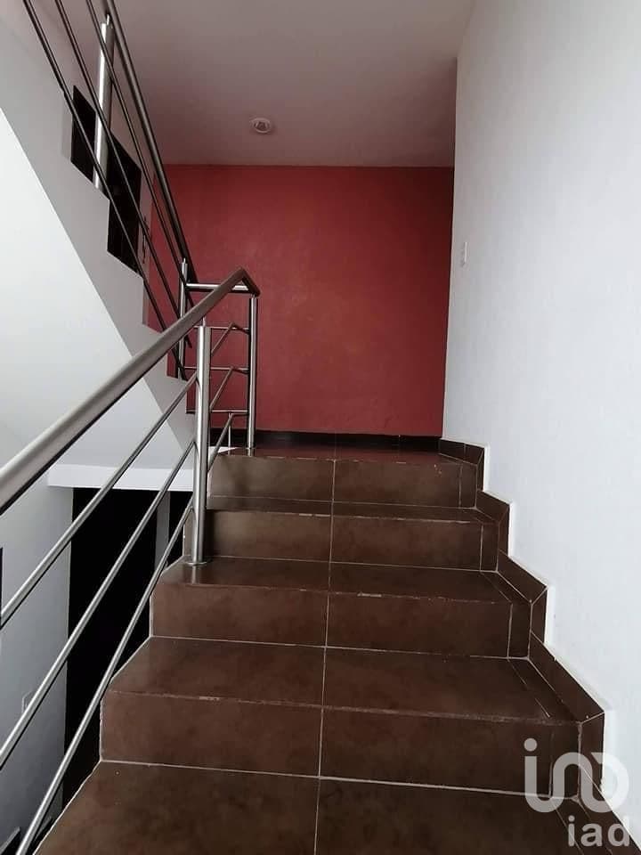 Fotos adicionales