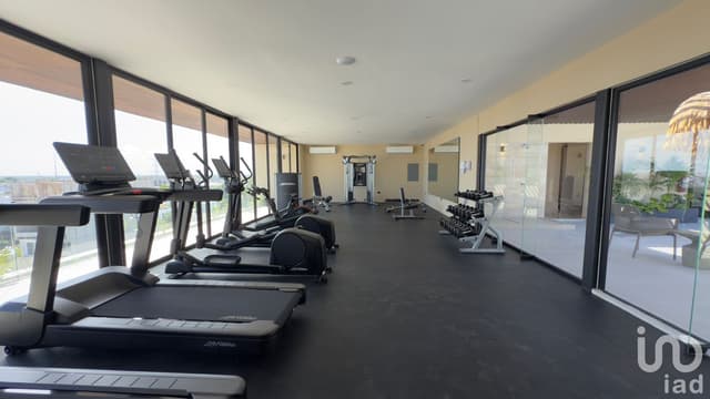 RENTA de studios en el centro de playa del carmen