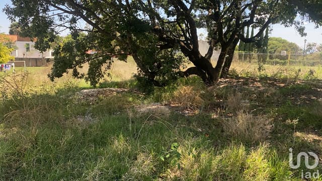 Venta de terreno Cavalls 3